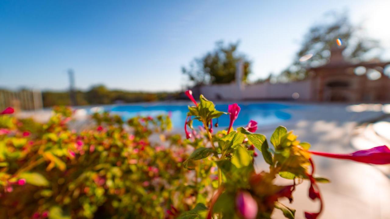 Villa Arton Heated Swimming-Pool Žminj المظهر الخارجي الصورة